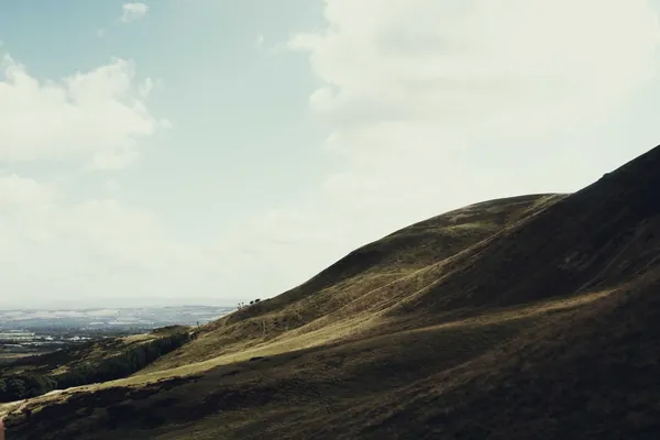 Frame 7