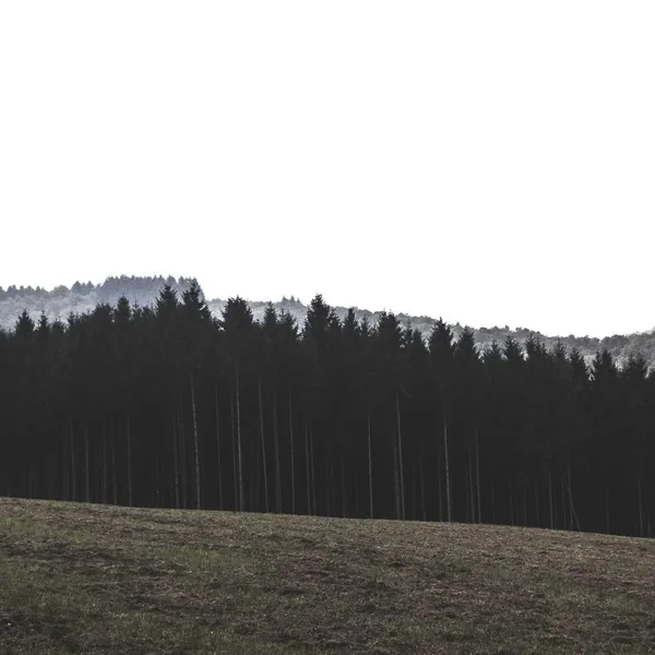 Frame 6